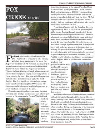 WRIA 10: PUYALLUP/WHITE RIVER WATERSHED


                                                       to acclimation ponds in the upper Puyallup River

FOX                                                    (Cowskull and Rushingwater) or Lake Kapowsin.
                                                       Each spring; as many as 200,000+ coho yearlings
                                                       are imprinted and released from the acclimation

CREEK 10.0608                                          ponds, or are planted directly into the lake. All fish
                                                       are marked with an adipose fin clip and approx-
                                                       imately half are implanted with a coded wire tag, in
                                                       addition to an adipose fin clip.
                                                           From its confluence with the Puyallup River, to
                                                       approximately RM 0.3, Fox is a low gradient pool-
                                                       riffle stream flowing through a moderately dense
                                                       forested area consisting mostly of alders. There is
                                                       abundant spawning habitat; coho, chum and steel-
                                                       head redds have been observed within this lower
                                                       reach. Beyond this, from RM 0.3 to 0.5 the creek
                                                       meanders through a grassy area with little riparian
                                                       cover and moderate amounts of fine materials ob-
                                                       scuring the gravelly substrate (right). The channel
                                                       is relatively narrow and incised, yet coho spawning




F
                                                       is prolific throughout the entire segment. This
        ox Creek joins the Puyallup River at RM        “middle reach” often has the highest spawning den-
        29.5. Fox Creek is primarily a coho stream,    sities. Beyond RM 0.5, Fox becomes a moderate
        with fish likely ascending as far up as the    gradient step-
Kapowsin tree farm’s 6 Rd; however, the majority of pool/riffle stream with
spawning occurs within the first mile of the creek.    good pool frequency,
Fox Creek flows within the Kapowsin tree farm          along with adequate
(Hancock Forest Resource Group), where roads and small conifer and
timber harvesting have impacted several portions of hardwood riparian
the stream in the past. The most suitable spawning cover. There are few
habitat exists from the mouth, up to the Road 1        mature conifers in
Bridge. The first significant pink salmon escape-      this reach, although
ment was observed during the 2009 season. Al-          many young Grand
though sporadic, chum and steelhead spawning ac-       firs were planted as a
tivity has been observed in the past.                  part of a past restora-
   Extensive sampling of coho carcasses for coded      tion project.
wire tags and fin clips has revealed that a large per-     A substantial amount of beaver (Castor canaden-
centage of the spawners in Fox are Voights Creek       sis) activity exists throughout Fox Creek. Beaver
                                            hatchery   dams, some up to six feet in height, often completely
                                            origin     block and prevent fish from migrating upstream.
                                            fish. As   Dams located along the lower mile of the creek are
                                            juveniles, often breached during the beginning of the coho sea-
                                            these fish son to allow fish access to the spawning habitat
                                            were relo- above. Currently, the lower reach of the creek (RM
                                            cated from 0-0.15) is a low gradient channel flowing within the
                                            Voights    open channel migration zone of the Puyallup River,
                                            Creek      where it is repeatedly manipulated by mainstem
                                            hatchery   river incursions (top left).
PUYALLUP TRIBAL FISHERIES
2009-2010 ANNUAL SALMON, STEELHEAD, AND BULL TROUT REPORT                                              Page 72
 