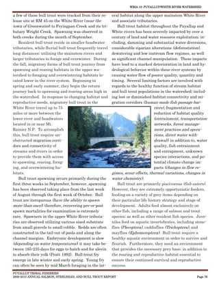WRIA 10: PUYALLUP/WHITE RIVER WATERSHED


a few of these bull trout were tracked from their re-     eral habitat along the upper mainstem White River
lease site at RM 45 on the White River (near the          and associate tributaries.
town of Greenwater) to Fryingpan Creek and its tri-          Bull trout habitat throughout the Puyallup and
butary Wright Creek. Spawning was observed in             White rivers has been severely impacted by over a
both creeks during the month of September.                century of land and water resource exploitation; in-
    Resident bull trout reside in smaller headwater       cluding, damming and substantial water diversions,
tributaries, while fluvial bull trout frequently travel   considerable riparian alterations (deforestation),
long distances; utilizing the mainstem rivers and         dewatering and low instream flow regimes, as well
larger tributaries to forage and overwinter. During       as significant channel manipulation. These impacts
the fall, migratory forms of bull trout journey from      have lead to a marked deterioration in land and hy-
spawning and rearing habitats in the upper wa-            drological behavior within these river systems by
tershed to foraging and overwintering habitats lo-        causing water flow of poorer quality, quantity and
cated lower in the river system. Beginning in             timing. Several limiting factors are involved with
spring and early summer, they begin the return            regards to the healthy function of stream habitat
journey back to spawning and rearing areas high in        and bull trout populations in the watershed; includ-
the watershed. In response to changing habitat and        ing lost or diminished habitat connectivity and mi-
reproductive needs, migratory bull trout in the           gration corridors (human-made fish passage bar-
White River travel up to 75                                                       riers), fragmentation and
miles or more between the                                                         reduction of habitat quality
lower river and headwaters                                                        (entrainment, transportation
located in or near Mt.                                                            networks, forest manage-
Rainier N.P. To accomplish                                                        ment practices and opera-
this, bull trout require un-                                                      tions, direct water with-
obstructed migration corri-                                                       drawal); in addition to, water
dors and connectivity of                                                          quality, fish entrainment
streams and rivers in order                                                       and entrapment, unknown
to provide them with access                                                       species interactions, and po-
to spawning, rearing, forag-                                                      tential climate change im-
ing, and overwintering ha-                                                        pacts (changes in flow re-
bitats.                                                   gimes, scour effects, thermal variations, changes in
    Bull trout spawning occurs primarily during the       water chemistry).
first three weeks in September, however, spawning            Bull trout are primarily piscivorous (fish eaters).
has been observed taking place from the last week         However, they are extremely opportunistic feeders,
of August through the first week of October. Bull         feeding on a variety of prey items depending on
trout are iteroparous (have the ability to spawn          their particular life history strategy and stage of
more than once); therefore, recovering pre-or-post        development. Adults feed almost exclusively on
spawn mortalities for examination is extremely            other fish, including a range of salmon and trout
rare. Spawners in the upper White River tributa-          species; as well as other resident fish species. Juve-
ries are observed utilizing various sized substrate       niles feed on aquatic invertebrates, including stone-
from small gravels to small cobble. Redds are often       flies (Plecoptera), caddisflies (Trichoptera), and
constructed in the tail-out of pools and along the        mayflies (Ephemeroptera). Bull trout require a
channel margins. Embryonic development is slow            healthy aquatic environment in order to survive and
(depending on water temperatures); it may take be-        flourish. Furthermore, they need an environment
tween 165-235 days for eggs to hatch and for alevin       that provides the necessary prey base; in addition to
to absorb their yolk (Pratt 1992). Bull trout fry         the rearing and reproductive habitat essential to
emerge in late winter and early spring. Young fry         ensure their continued survival and reproductive
can often be seen by mid March foraging in the lat-       success.
PUYALLUP TRIBAL FISHERIES
2009-2010 ANNUAL SALMON, STEELHEAD, AND BULL TROUT REPORT                                                 Page 76
 