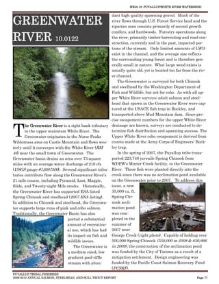 WRIA 10: PUYALLUP/WHITE RIVER WATERSHED


                                                       dant high quality spawning gravel. Much of the
GREENWATER                                             river flows through U.S. Forest Service land and the
                                                       riparian zone consists primarily of second growth


RIVER 10.0122
                                                       conifers, and hardwoods. Forestry operations along
                                                       the river, primarily timber harvesting and road con-
                                                       struction, currently and in the past, impacted por-
                                                       tions of the stream. Only limited amounts of LWD
                                                       exist in the channel, and the average size reflects
                                                       the surrounding young forest and is therefore gen-
                                                       erally small in nature. What large wood exists is
                                                       usually quite old, yet is located too far from the riv-
                                                       er channel.
                                                          The Greenwater is surveyed for both Chinook
                                                       and steelhead by the Washington Department of
                                                       Fish and Wildlife, but not for coho. As with all up-
                                                       per White River surveys; adult salmon and steel-
                                                       head that spawn in the Greenwater River were cap-
                                                       tured at the USACE fish trap in Buckley, and
                                                       transported above Mud Mountain dam. Since pre-
                                                       cise escapement numbers for the upper White River


T
       he Greenwater River is a right bank tributary drainage are known, surveys are conducted to de-
       to the upper mainstem White River. The          termine fish distribution and spawning success. The
       Greenwater originates in the Norse Peaks        Upper White River coho escapement is derived from
Wilderness area on Castle Mountain and flows wes- counts made at the Army Corps of Engineers’ Buck-
terly until it converges with the White River (RM      ley trap.
46) near the small town of Greenwater. The                In the spring of 2007, the Puyallup tribe trans-
Greenwater basin drains an area over 73 square         ported 223,740 juvenile Spring Chinook from
miles with an average water discharge of 210 cfs       WDFW’s Minter Creek facility, to the Greenwater
(USGS gauge #12097500). Several significant tribu- River. These fish were planted directly into the
taries contribute flow along the Greenwater River’s creek since there was no acclimation pond available
21 mile course, including Pyramid, Lost, Maggie,       on the Greenwater prior to 2007. To address this
Slide, and Twenty-eight Mile creeks. Historically,     issue, a new
the Greenwater River has supported ESA listed          35,000 cu. ft.
Spring Chinook and steelhead (2007 ESA listing).       Spring Chi-
In addition to Chinook and steelhead, the Greenwa- nook accli-
ter supports large runs of pink and coho salmon.       mation pond
Traditionally, the Greenwater Basin has also           was com-
                                ported a substantial   pleted in the
                                amount of recreation- summer of
                               al use, which has had 2007 near
                                its impact on fish and George Creek (right photo). Capable of holding over
                                wildlife issues.       500,000 Spring Chinook (550,000 in 2008 & 830,996
                                    The Greenwater is in 2009), the construction of the acclimation pond
                                a medium sized, low    was funded by the City of Tacoma as a result of a
                                gradient pool-riffle   mitigation settlement. Design engineering was
                                stream with abun-      funded by the Pacific Coast Salmon Recovery Fund
                                                       (PCSRF).
PUYALLUP TRIBAL FISHERIES
2009-2010 ANNUAL SALMON, STEELHEAD, AND BULL TROUT REPORT                                               Page 77
 