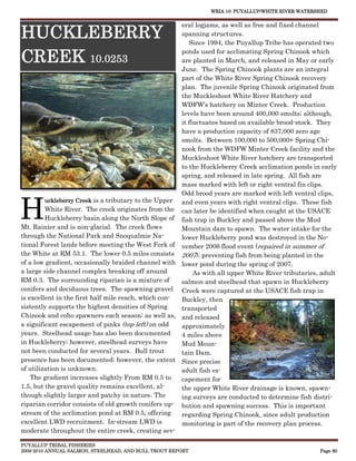 WRIA 10: PUYALLUP/WHITE RIVER WATERSHED


                                                      eral logjams, as well as free and fixed channel
HUCKLEBERRY                                           spanning structures.
                                                         Since 1994, the Puyallup Tribe has operated two

CREEK 10.0253                                         ponds used for acclimating Spring Chinook which
                                                      are planted in March, and released in May or early
                                                      June. The Spring Chinook plants are an integral
                                                      part of the White River Spring Chinook recovery
                                                      plan. The juvenile Spring Chinook originated from
                                                      the Muckleshoot White River Hatchery and
                                                      WDFW’s hatchery on Minter Creek. Production
                                                      levels have been around 400,000 smolts; although,
                                                      it fluctuates based on available brood-stock. They
                                                      have a production capacity of 837,000 zero age
                                                      smolts. Between 100,000 to 500,000+ Spring Chi-
                                                      nook from the WDFW Minter Creek facility and the
                                                      Muckleshoot White River hatchery are transported
                                                      to the Huckleberry Creek acclimation ponds in early
                                                      spring, and released in late spring. All fish are
                                                      mass marked with left or right ventral fin clips.
                                                      Odd brood years are marked with left ventral clips,


H
         uckleberry Creek is a tributary to the Upper and even years with right ventral clips. These fish
         White River. The creek originates from the can later be identified when caught at the USACE
         Huckleberry basin along the North Slope of fish trap in Buckley and passed above the Mud
Mt. Rainier and is non-glacial. The creek flows       Mountain dam to spawn. The water intake for the
through the National Park and Snoqualmie Na-          lower Huckleberry pond was destroyed in the No-
tional Forest lands before meeting the West Fork of vember 2006 flood event (repaired in summer of
the White at RM 53.1. The lower 0.5 miles consists 2007); preventing fish from being planted in the
of a low gradient, occasionally braided channel with lower pond during the spring of 2007.
a large side channel complex breaking off around           As with all upper White River tributaries, adult
RM 0.3. The surrounding riparian is a mixture of      salmon and steelhead that spawn in Huckleberry
conifers and deciduous trees. The spawning gravel Creek were captured at the USACE fish trap in
is excellent in the first half mile reach, which con- Buckley, then
sistently supports the highest densities of Spring    transported
Chinook and coho spawners each season; as well as, and released
a significant escapement of pinks (top left) on odd   approximately
years. Steelhead usage has also been documented       4 miles above
in Huckleberry; however, steelhead surveys have       Mud Moun-
not been conducted for several years. Bull trout      tain Dam.
presence has been documented; however, the extent Since precise
of utilization is unknown.                            adult fish es-
    The gradient increases slightly From RM 0.5 to    capement for
1.5, but the gravel quality remains excellent, al-    the upper White River drainage is known, spawn-
though slightly larger and patchy in nature. The      ing surveys are conducted to determine fish distri-
riparian corridor consists of old growth conifers up- bution and spawning success. This is important
stream of the acclimation pond at RM 0.5, offering    regarding Spring Chinook, since adult production
excellent LWD recruitment. In-stream LWD is           monitoring is part of the recovery plan process.
moderate throughout the entire creek, creating sev-

PUYALLUP TRIBAL FISHERIES
2009-2010 ANNUAL SALMON, STEELHEAD, AND BULL TROUT REPORT                                            Page 80
 