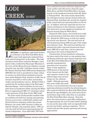 WRIA 10: PUYALLUP/WHITE RIVER WATERSHED


                                                                      gists conducted extensive bull trout migration tele-

LODI                                                                  metry studies and redd surveys along the upper
                                                                      White River and West Fork White River; focusing
                                                                      heavily on the headwaters located within Mt. Raini-

CREEK 10.0227                                                         er National Park. The study results showed that
                                                                      the cold high mountain streams located within the
                                                                      National Park, including Lodi, provide the majority
                      This photo was taken from Berkeley Park
                      near 6,000’ looking north. The peak to the left
                                                                      of the critical bull trout spawning habitat in the ba-
                      is Skyscraper Mountain, and to the right is     sin. In addition, bull trout spawning was less con-
                      the Mt. Freemont Ridge.
                                                                      sistent and frequent in this tributary compared to
                                                                      that observed in several significant headwater tri-
                                                                      butaries located along the White River.
                                                                          During the 2007 season, several bull trout redds
                                                                      were documented in Lodi from mid-to-late Septem-
                                                                      ber. During the 2008 season, no bull trout spawn-
                                                                      ing activity was observed. The only bull trout ob-
                                                                      served spawning during 2006 was part of the migra-
                                                                      tion telemetry study. This bull trout had been im-
                                                                      planted with radio a tag and released near Green-
                                                                      water (RM 45) in early June, and was observed



L
       odi Creek is a significant right bank headwa- spawning in the creek on September 8 .
                                                                                                               th


       ter tributary to the West Fork White River.                        Characteristic of many headwater tributaries,
       The name Lodi apparently originated from                       the lower reach of the creek is a low gradient chan-
early mineral prospectors in the region. This high                    nel flowing within the open channel migration zone
mountain stream flows northwest through a steep                       of the West Fork White River floodplain, and is re-
glacial valley, bordered by Skyscraper Mountain to                    peatedly manipulated by
the west and the Mount Fremont ridgeline running mainstem river incursions.
along the east (top left). Lodi flows entirely within                 There is little significant
Mt. Rainier National Park (NPS stream designation LWD present in this portion
#f09-00a), the creek is non-glacial in origin; rather, of the channel and the high
its sources are derived from snowpack accumula-                       solar exposure results in sig-
tions within Berkeley Park, located at 6,400+ feet of nificant algae mats accumu-
elevation (top left); as well as other surrounding                    lating over the substrate
surface and groundwater sources. Berkeley Park is (right). Although spawning
nestled into the northern slopes of the Burroughs                     does occur within this small
Mountain Range. Lodi Creek flows for just over 4                      stretch, it can be limited due the lack of quality
miles from its headwaters before entering the White spawning substrate created by the alluvial deposits
River at approximately RM 13.7; situating it about                    (fine sand and silt) from the West Fork White River.
a mile upstream of Van Horn Creek (RM 12.65).                         Beyond the open floodplain, the creek enters the fo-
    The lower reach of Lodi provides excellent habi-                  rested lower slope of the valley floor as it parallels
tat conditions for bull trout rearing and spawning.                   the West Fork White River channel. From this
Various surveys have verified both resident and                       point, the creek assumes a pool-riffle configuration
fluvial bull trout utilization within this stream.                    for approximately the next 0.8 miles before climbing
However, the creeks 3400’ elevation is likely too                     its way up the steep valley wall; an impassable falls
high for Chinook, coho and pink salmon. PTF sur-                      prevent any further upstream migration. The fo-
veys the creek for bull trout spawning during the                     rested reach provides quality spawning and rearing
month of September. From 2005-2007, PTF biolo-                        opportunities.


PUYALLUP TRIBAL FISHERIES
2009-2010 ANNUAL SALMON, STEELHEAD, AND BULL TROUT REPORT                                                            Page 97
 