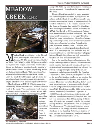 WRIA 10: PUYALLUP/WHITE RIVER WATERSHED


                                                      along with stable log jams have created remarkable

MEADOW                                                stream complexity throughout the lower reach of
                                                      the creek.
                                                          Meadow Creek is unspoiled in many ways and

CREEK 10.0630                                         has incredible potential to be a highly productive
                                                      salmon and steelhead stream. Unfortunately, ana-
                                                      dromous salmon were unable to access the creek for
                                                      nearly a century due to the streams location above
                                                      the Electron diversion dam on the Puyallup River.
                                                      With the completion of the Electron fish ladder (@
                                                      RM 41.7) in the fall of 2000, anadromous fish pas-
                                                      sage was restored for the first time since 1904. Res-
                                                      toring anadromous access to the upper Puyallup
                                                      River has made approximately 26+ miles of spawn-
                                                      ing and rearing habitat above the diversion availa-
                                                      ble for several species including Chinook, coho,
                                                      pink, steelhead, and bull trout. The creek does;
                                                      however, have a resident population of cutthroat
                                                      trout. It is also suspected that bull trout may be
                                                      present in the creek, since they are known to popu-



M
           eadow Creek is a tributary to the Mowich late the Mowich River; however, bull trout utiliza-
           River, entering the Mowich at RM 3.9       tion has not been documented to date.
           (lower left). The creek was named by Bai-      Due to the lengthy absence of anadromous fish
ley Willis (1857-1949) in 1883. Willis was a geologi- usage and the poor rate of natural fish reestablish-
cal engineer who played an essential role in estab-   ment, Meadow Creek is only occasionally surveyed
lishing Mt. Rainier as a national park. Meadow ori- to determine if salmon or steelhead are utilizing the
ginates from Eunice Lake (elev. 5353’), deep within stream. Disappointingly, many of the fish en-
Mt. Rainier National Park. With exception of the      hancement techniques employed by the Puyallup
Mountain Meadows habitat area below Eunice            Tribe such as adult, juvenile, or fry plants; as well
Lake, the creek flows through a high gradient, fre-   as the use of acclimation ponds, are not possible due
quently confined channel for most of its 4.6 mile     to the creeks remote location and lack of vehicle
length. Meadow Creek has one significant tributa-     access. Therefore, one of the Puyallup Tribe’s short
ry, Hayden Creek, at RM 2.5. Pristine spawning        term goals continues to be the reintroduction of
and rearing habitat exists within the lower one-mile Chinook and possibly coho via remote site incuba-
reach of the creek. This anadromous reach consists tors (RSI). The obvious need for RSI’s is due to the
of a low to moderate gradient channel, with a pool-   limited accessibility to the creek. Upwards of
riffle character, abundant spawning gravel, LWD;      40,000 Chinook and coho could be incubated and
                                          as well as  released into the creek annually; however, this has
                                          an intact   not been accomplished as of the printing of this re-
                                          mature      port. Currently, no proposals exist for the reestab-
                                          riparian    lishing steelhead into Meadow Creek or the Upper
                                          zone along Puyallup system. Yet, the need for action is para-
                                          the entire mount due to the steeply declining stock of wild
                                          creek.      steelhead in the Puyallup Watershed. Current ef-
                                          Several     forts have yet to document any steelhead usage in
                                          pieces of   the Mowich River or Meadow Creek.
                                          LWD

PUYALLUP TRIBAL FISHERIES
2009-2010 ANNUAL SALMON, STEELHEAD, AND BULL TROUT REPORT                                            Page 98
 