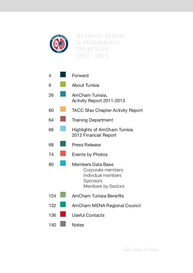 amcham annual report 2013