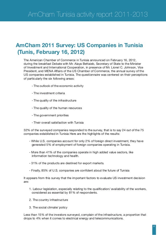 amcham annual report 2013