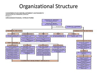 Organizational Structure
 