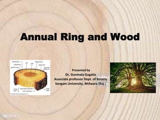 Annual Ring and Wood
Presented by
Dr. Gunmala Gugalia
Associate professor Dept. of Botany
Sangam University, Bhilwara (Raj.)
 