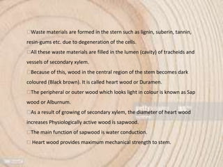 ⮚Waste materials are formed in the stern such as lignin, suberin, tannin,
resin-gums etc. due to degeneration of the cells.
⮚All these waste materials are filled in the lumen (cavity) of tracheids and
vessels of secondary xylem.
⮚Because of this, wood in the central region of the stem becomes dark
coloured (Black brown). It is called heart wood or Duramen.
⮚The peripheral or outer wood which looks light in colour is known as Sap
wood or Alburnum.
⮚As a result of growing of secondary xylem, the diameter of heart wood
increases Physiologically active wood is sapwood.
⮚The main function of sapwood is water conduction.
⮚ Heart wood provides maximum mechanical strength to stem.
 