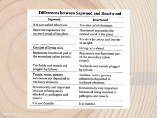 Annual ring and wood