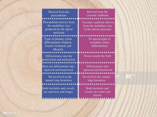 Annual ring and wood