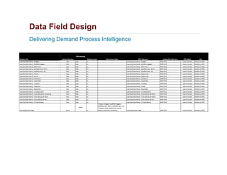 Data Field Design
Delivering Demand Process Intelligence
 