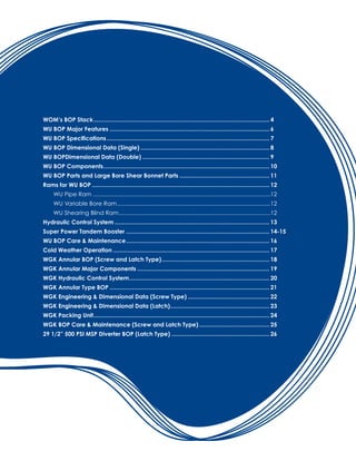 Annular Spherical BOP - Worldwide Oilfield Machine | PDF