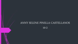 ANNY SELENE PINILLA CASTELLANOS
10-2
 