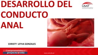 www.usat.edu.pe
DESARROLLO DEL
CONDUCTO
ANAL
CHRISTY LEYVA GONZALES
 