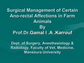 Surgical Management of Certain
Ano-rectal Affections in Farm
Animals
By
Prof.Dr.Gamal I .A .Karrouf
Dept. of Surgery, Anesthesiology &
Radiology. Faculty of Vet. Medicine,
Mansoura University

 