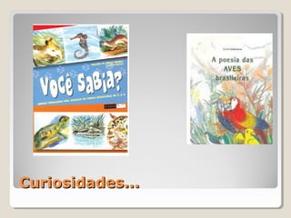 Curiosidades...Curiosidades...
 