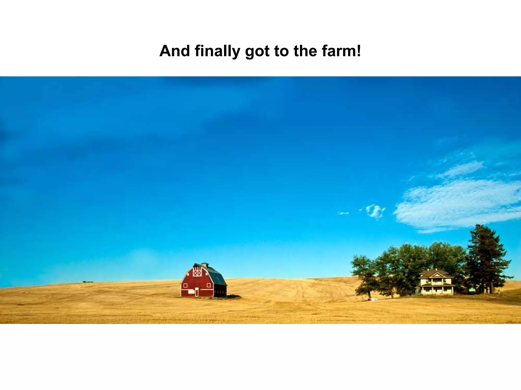 And finally got to the farm!

 