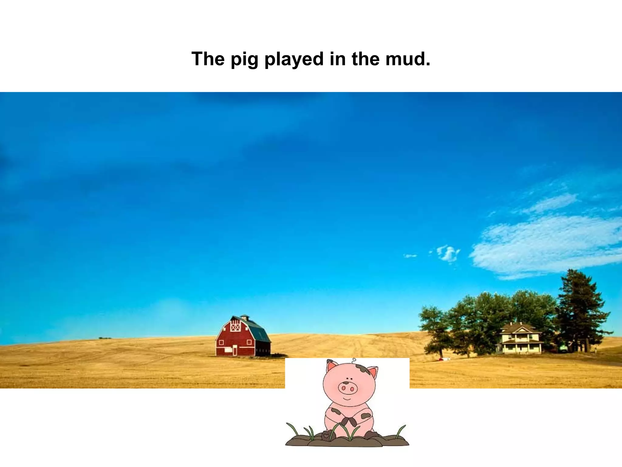 The pig played in the mud.

 