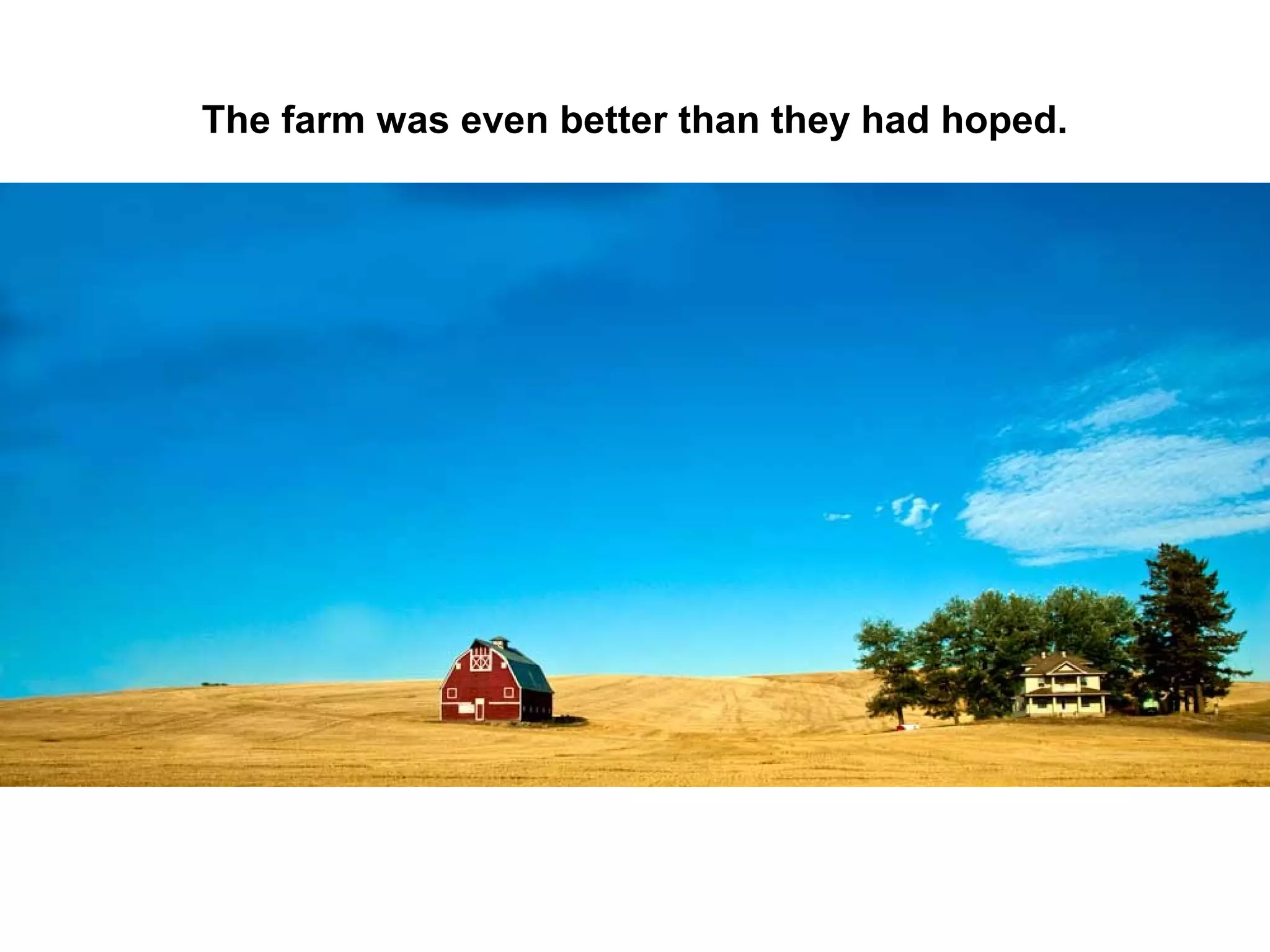 The farm was even better than they had hoped.

 
