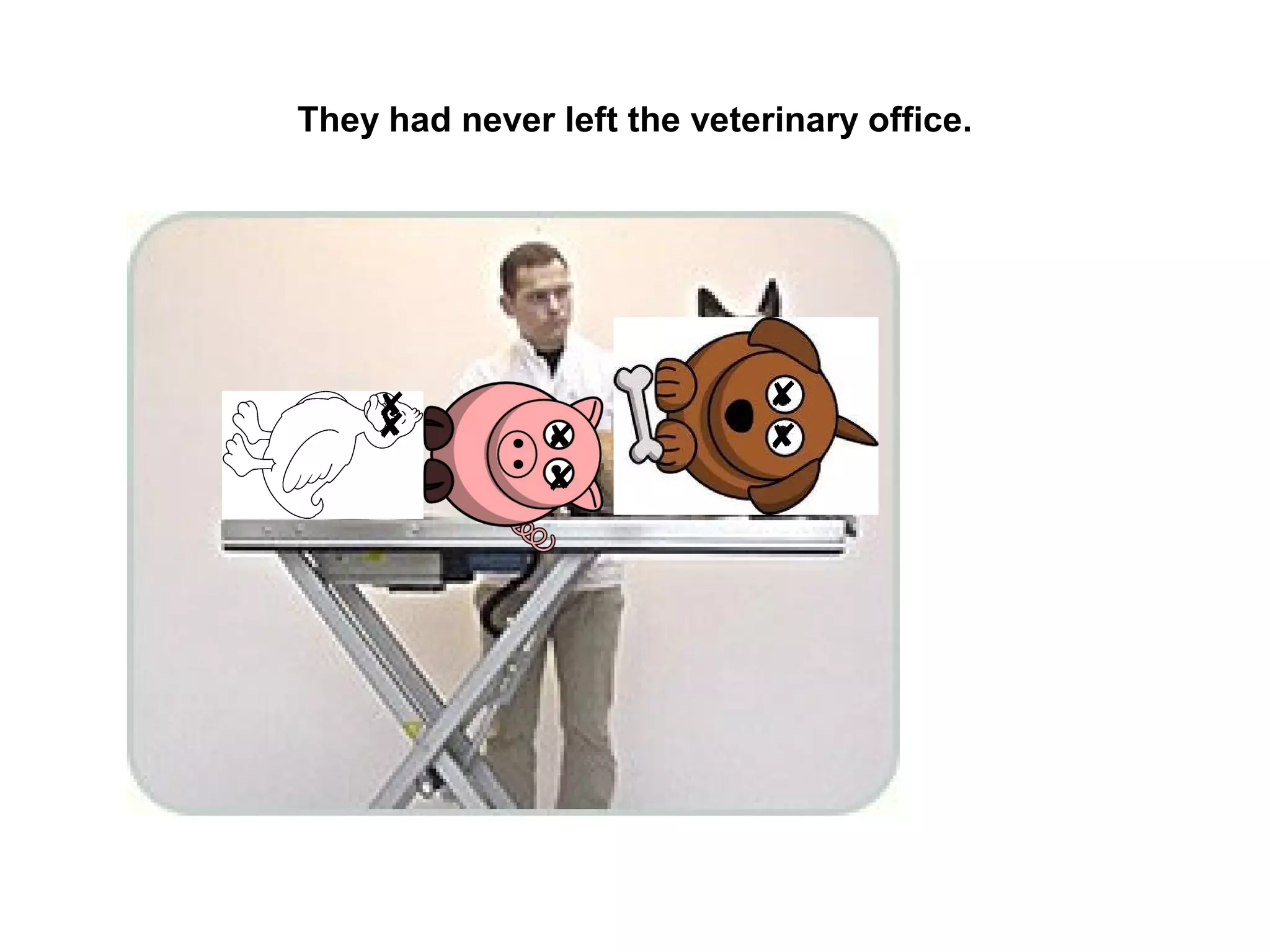They had never left the veterinary office.

 