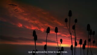 que te aproveche mirar lo que miras.

 