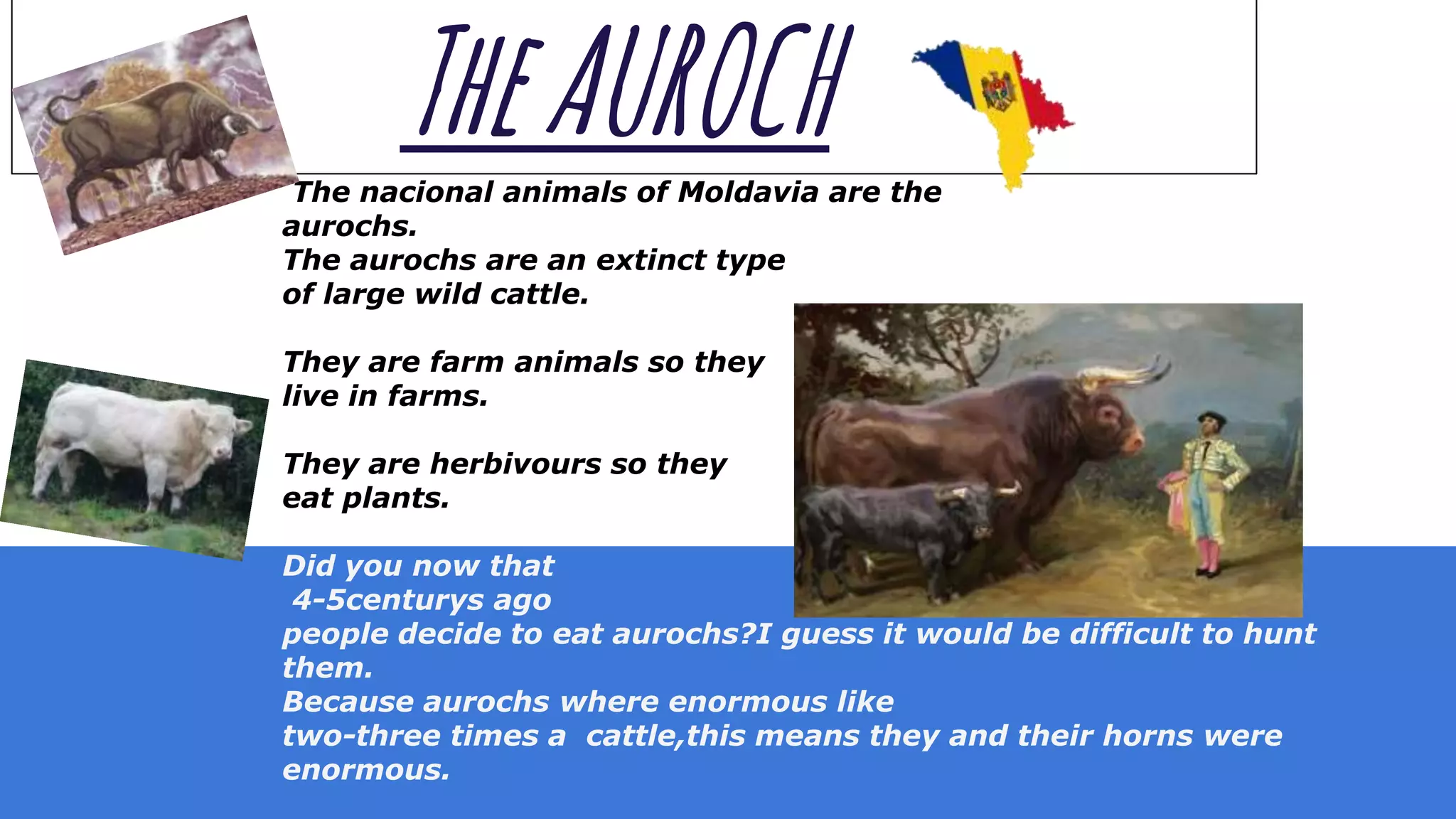 TheAUROCHThe nacional animals of Moldavia are the
aurochs.
The aurochs are an extinct type
of large wild cattle.
They are farm animals so they
live in farms.
They are herbivours so they
eat plants.
Did you now that
4-5centurys ago
people decide to eat aurochs?I guess it would be difficult to hunt
them.
Because aurochs where enormous like
two-three times a cattle,this means they and their horns were
enormous.