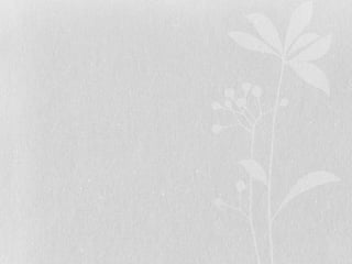 Ano da fé actualizado