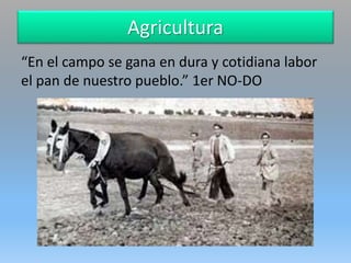 Agricultura
“En el campo se gana en dura y cotidiana labor
el pan de nuestro pueblo.” 1er NO-DO
 