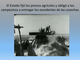 El Estado fijó los precios agrícolas y obligó a los
campesinos a entregar los excedentes de las cosechas.
 