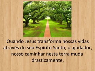 Quando Jesus transforma nossas vidas
através do seu Espírito Santo, o ajudador,
    nosso caminhar nesta terra muda
             drasticamente.
 