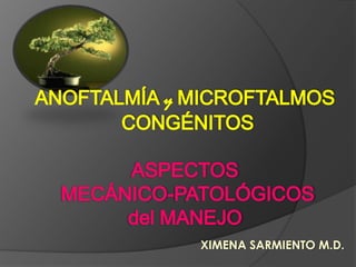 ANOFTALMÍA y MICROFTALMOS CONGÉNITOS ASPECTOS MECÁNICO-PATOLÓGICOSdel MANEJO XIMENA SARMIENTO M.D. 
