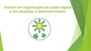 Investir em organizações de saúde vegetal
e em pesquisas e desenvolvimento.
 
