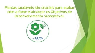 Plantas saudáveis são cruciais para acabar
com a fome e alcançar os Objetivos de
Desenvolvimento Sustentável.
 