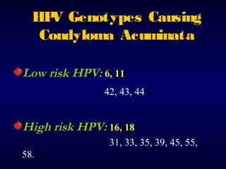 HP Genotypes Causing
V
Condyloma Acuminata
Low risk HPV: 6, 11
42, 43, 44

High risk HPV: 16, 18
31, 33, 35, 39, 45, 55,
58.

 