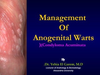 Management
Of
Anogenital Warts
((Condyloma Acuminata
B
y
.Dr. Yehia El Garem, M.D
Lecturer of Andrology & Dermatology
Alexandria University

 