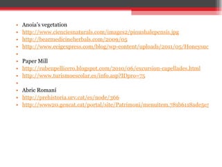Anoia ’ s vegetation http://www.cienciesnaturals.com/images2/pinushalepensis.jpg http://bearmedicineherbals.com/2009/05 http://www.ecigexpress.com/blog/wp-content/uploads/2011/05/Honeysuckle.jpg   Paper Mill http://rubenpellicero.blogspot.com/2010/06/excursion-capellades.html   http://www.turismoescolar.es/info.asp?IDpro=75     Abric Romaní http://prehistoria.urv.cat/es/node/366 http://www20.gencat.cat/portal/site/Patrimoni/menuitem.781b6118ade5e5ad86a64e10b0c0e1a0/?vgnextoid=53a25e610b371110VgnVCM1000008d0c1e0aRCRD&vgnextchannel=53a25e610b371110VgnVCM1000008d0c1e0aRCRD&vgnextfmt=detall&contentid=ee333a88b9424210VgnVCM1000008d0c1e0aRCRD 