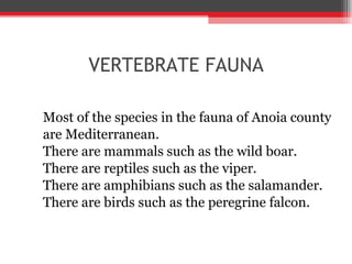 VERTEBRATE FAUNA <ul><li>Most of the species in the fauna of Anoia county  </li></ul><ul><li>are Mediterranean. </li></ul>...