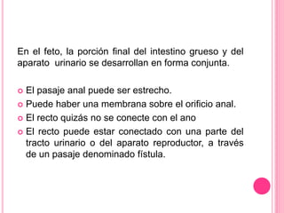En el feto, la porción final del intestino grueso y del
aparato urinario se desarrollan en forma conjunta.
 El pasaje anal puede ser estrecho.
 Puede haber una membrana sobre el orificio anal.
 El recto quizás no se conecte con el ano
 El recto puede estar conectado con una parte del
tracto urinario o del aparato reproductor, a través
de un pasaje denominado fístula.
 