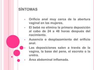 SÍNTOMAS
 Orificio anal muy cerca de la abertura
vaginal en las mujeres.
 El bebé no elimina la primera deposición
al cabo de 24 a 48 horas después del
nacimiento.
 Ausencia o desplazamiento del orificio
anal.
 Las deposiciones salen a través de la
vagina, la base del pene, el escroto o la
uretra.
 Área abdominal inflamada.
 