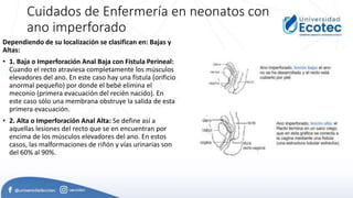 Ano imperforado.pptx