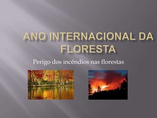 Ano internacional da floresta Perigo dos incêndios nas florestas  