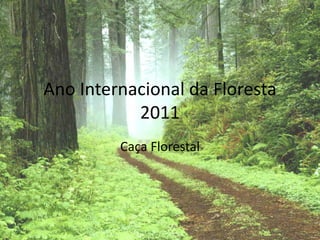Ano Internacional da Floresta2011 Caça Florestal 