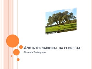 Ano internacional da floresta: Floresta Portuguesa 