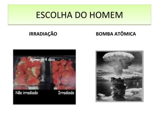 ESCOLHA DO HOMEM IRRADIAÇÃO BOMBA ATÔMICA 