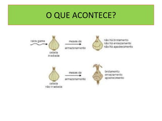 O QUE ACONTECE? 