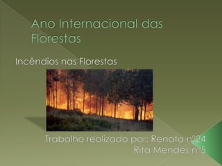Ano Internacional das Florestas Incêndios nas Florestas Trabalho realizado por: Renata nº24 Rita Mendes nº5  