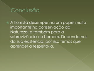 ConclusãoA floresta desempenha um papel muito importante na conservação da Natureza, e também para a sobrevivência do homem. Dependemos da sua existência, por isso temos que aprender a respeita-la.