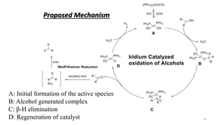 A: Initial formation of the active species
B: Alcohol generated complex
C: β-H elimination
D: Regeneration of catalyst
Proposed Mechanism
2/21/2020 29
 
