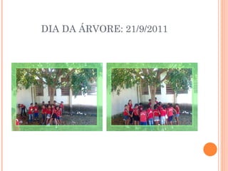 DIA DA ÁRVORE: 21/9/2011 