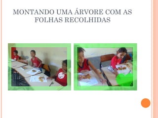 MONTANDO UMA ÁRVORE COM AS FOLHAS RECOLHIDAS 