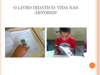 O LIVRO DIDÁTICO: VIDA NAS ÁRVORES! 